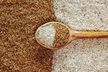 Brown rice vs white rice