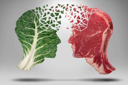 Vegan vs carnivore