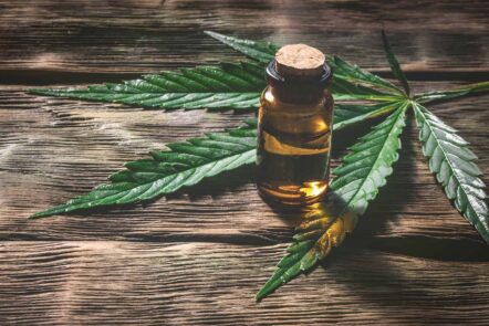 What is cbd explained