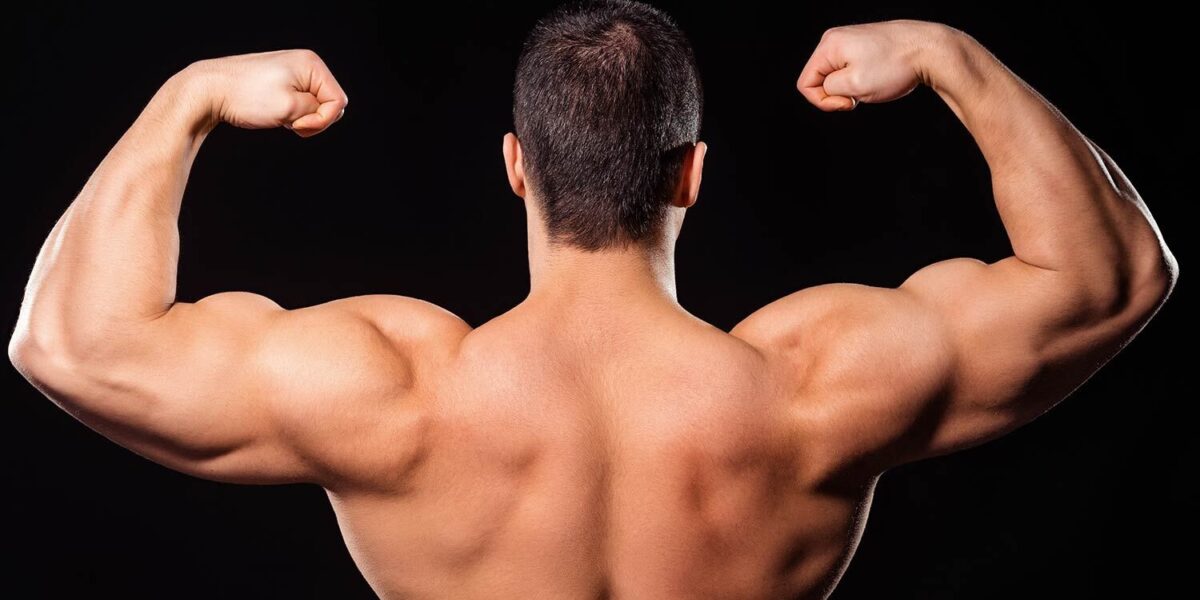 How to Get Bigger Biceps Using Dumbbells