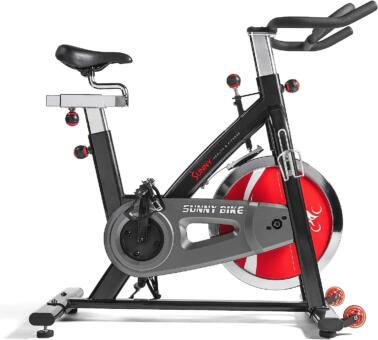 Sunny health exercise bike