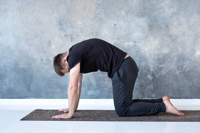 cat and cow yoga pose