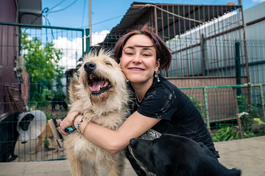 animal shelter happy person and dog