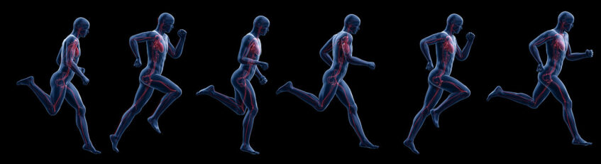 cardiovascular running benefits