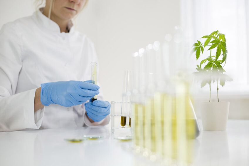 CBD extraction methods