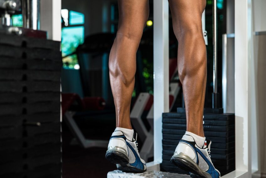 standing calf raises