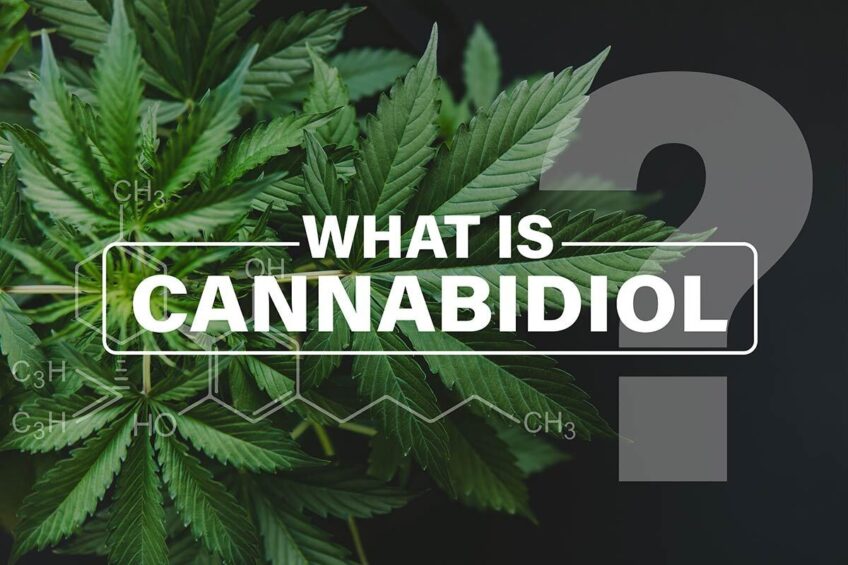 what is cannabidiol