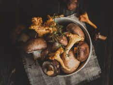 Most beneficial mushrooms