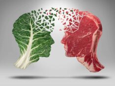 Vegan vs carnivore