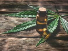 What is cbd explained